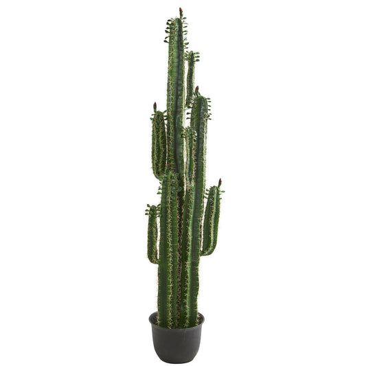 6.5’ Cactus Artificial Plant with tall green columnar stems in a black pot Nearly Natural on Tampa Home & Garden Store