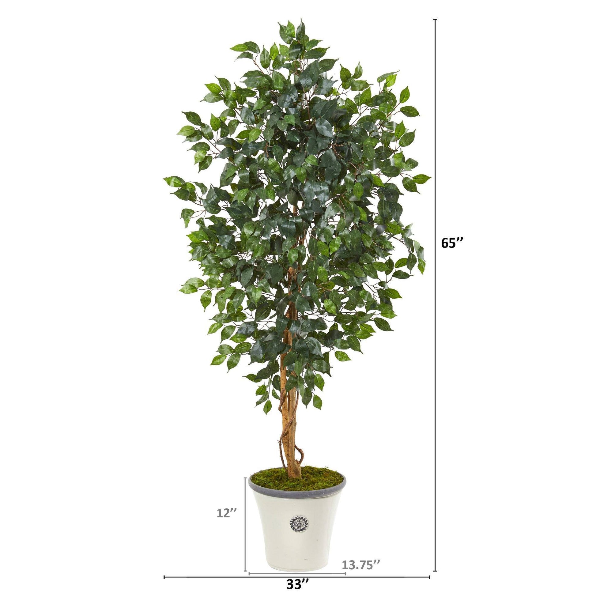 65in Ficus artificial tree by Nearly Natural with lush green leaves in decorative white planter on Tampa Home & Garden Store
