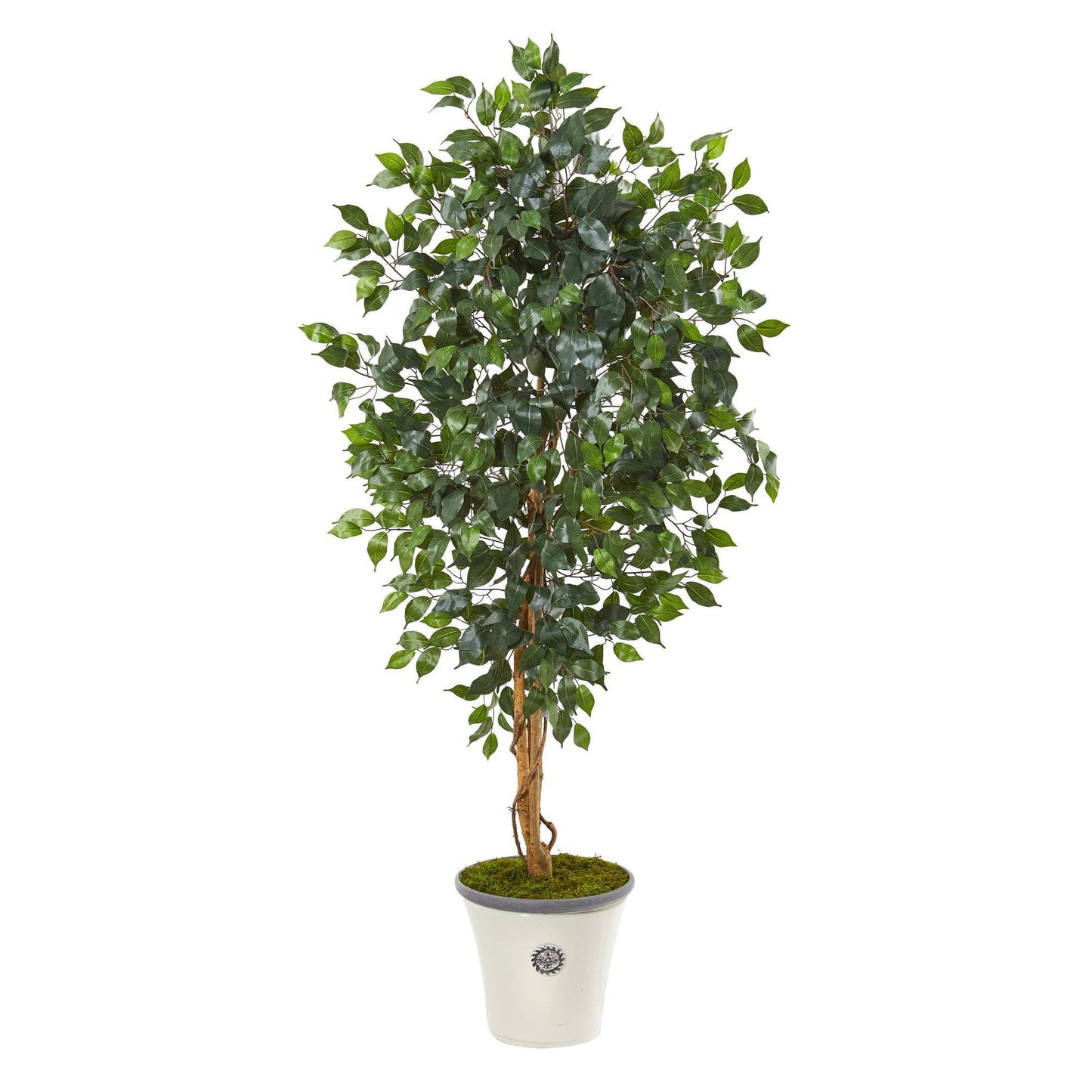 65in ficus artificial tree by Nearly Natural in white decorative planter with moss on Tampa Home & Garden Store