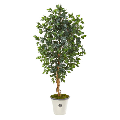 65in ficus artificial tree by Nearly Natural in white decorative planter with moss on Tampa Home & Garden Store