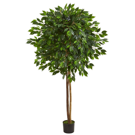 6.5’ Ficus artificial tree Nearly Natural with 3 trunks and green leaves in a black planter on Tampa Home & Garden Store