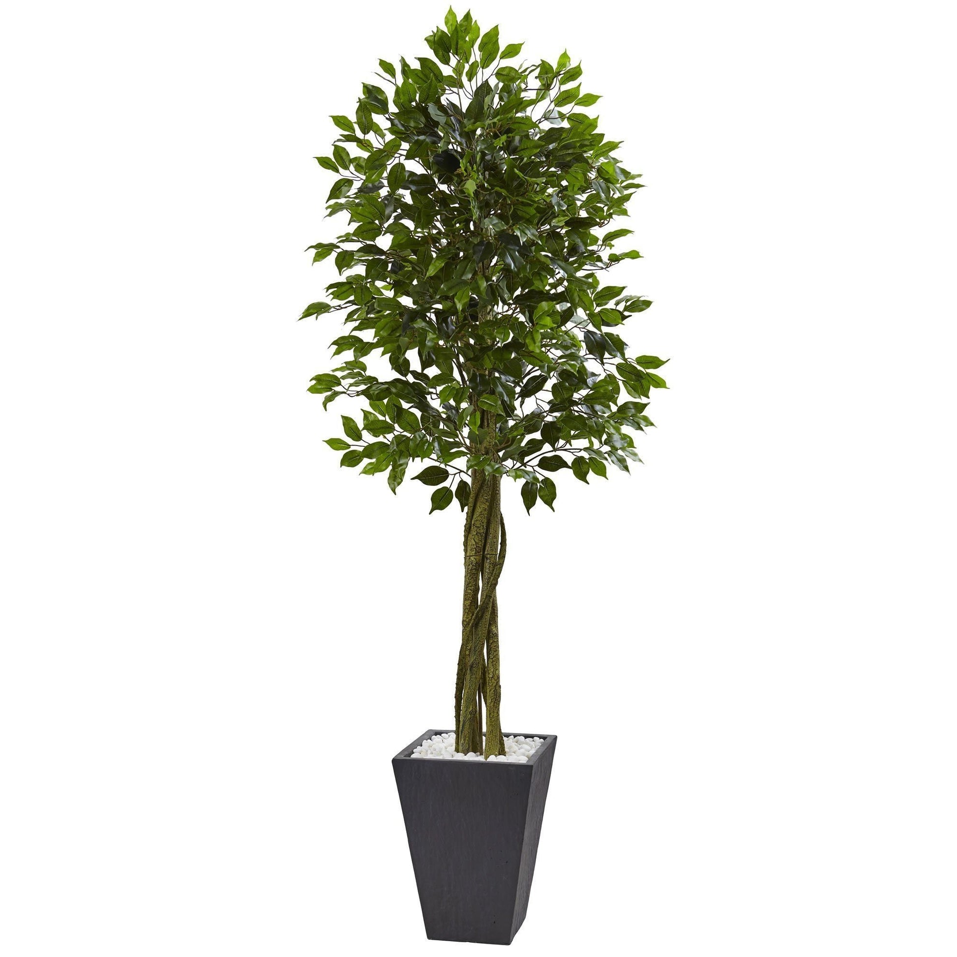 Nearly Natural 6' Ficus Tree in UV-resistant slate planter with white pebbles on Tampa Home & Garden Store