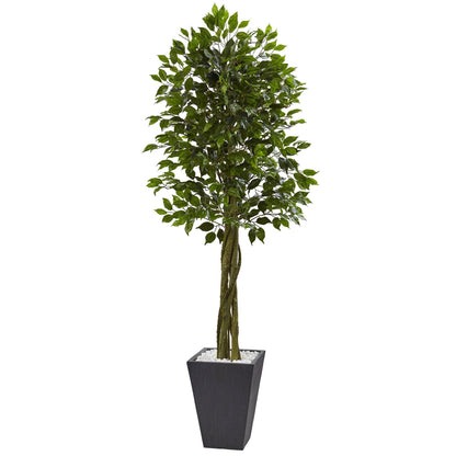 Nearly Natural 6' Ficus Tree in UV-resistant slate planter with white pebbles on Tampa Home & Garden Store