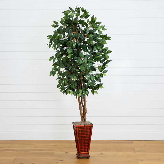 6.5’ Ficus w/Decorative Planter - Tampa Home & Garden Store