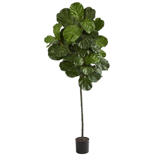6.5 ft fiddle leaf artificial tree by Nearly Natural with glossy dark green leaves in a pot on Tampa Home & Garden Store