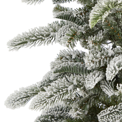 Christmas tree 6.5ft flocked Washington Alpine with frosted green needles on Tampa Home & Garden Store