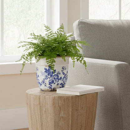 6.5” Floral Tuscan Ceramic Blue Scroll Planter blue-and-white ceramic planter with lush fern Nearly Natural on Tampa Home & Garden Store