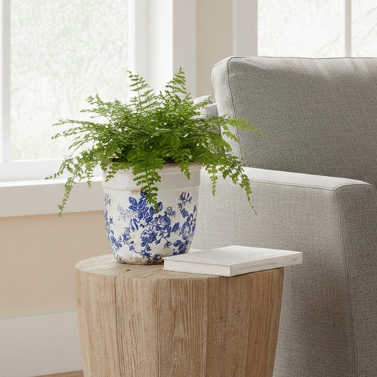 6.5” Floral Tuscan Ceramic Blue Scroll Planter blue-and-white ceramic planter with lush fern Nearly Natural on Tampa Home & Garden Store