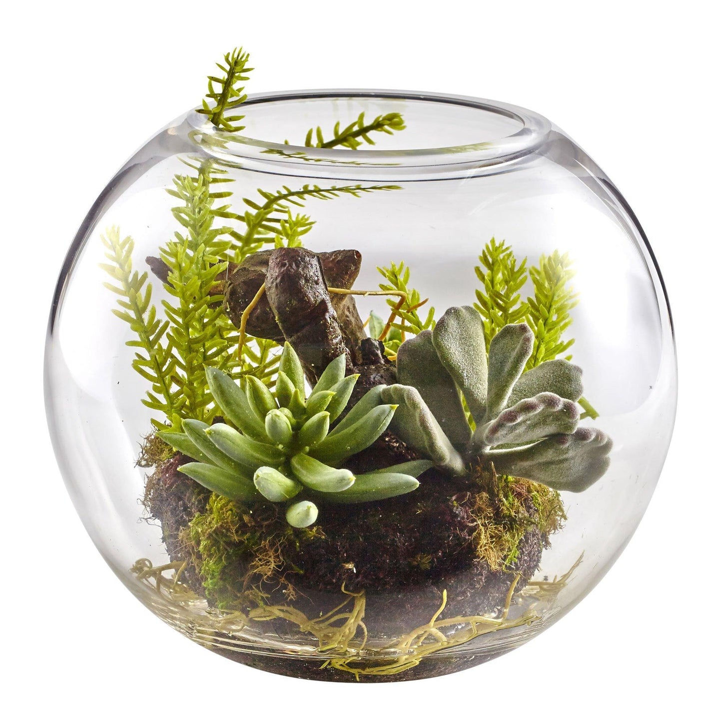 6.5in Mix Succulent Garden in glass vase by Nearly Natural with moss accents on Tampa Home & Garden Store