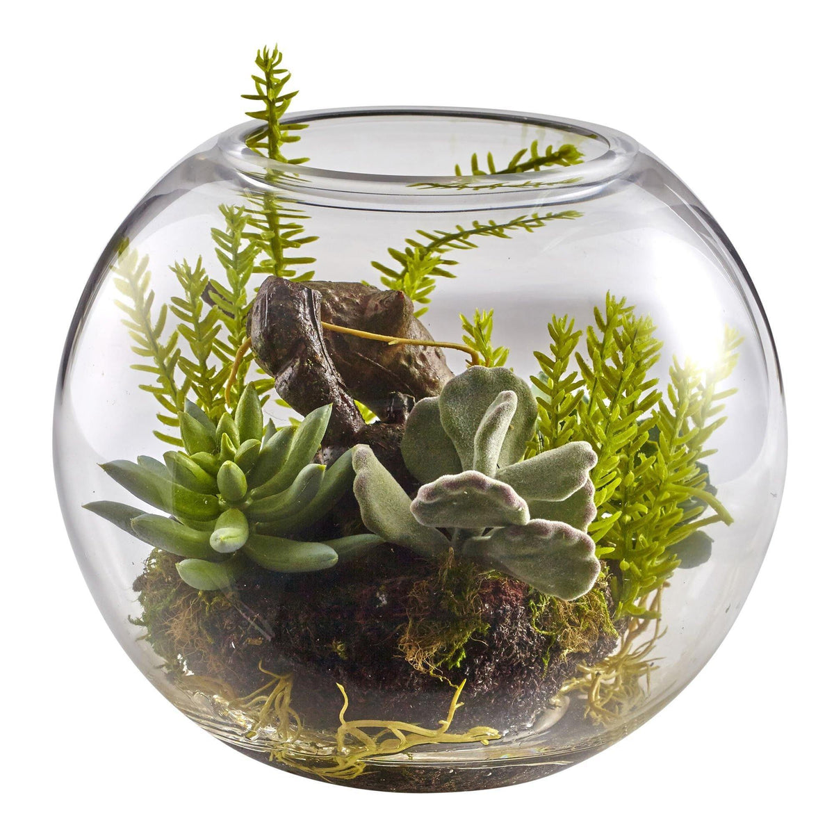 6.5in Mix Succulent Garden in clear glass globe vase on Tampa Home & Garden Store