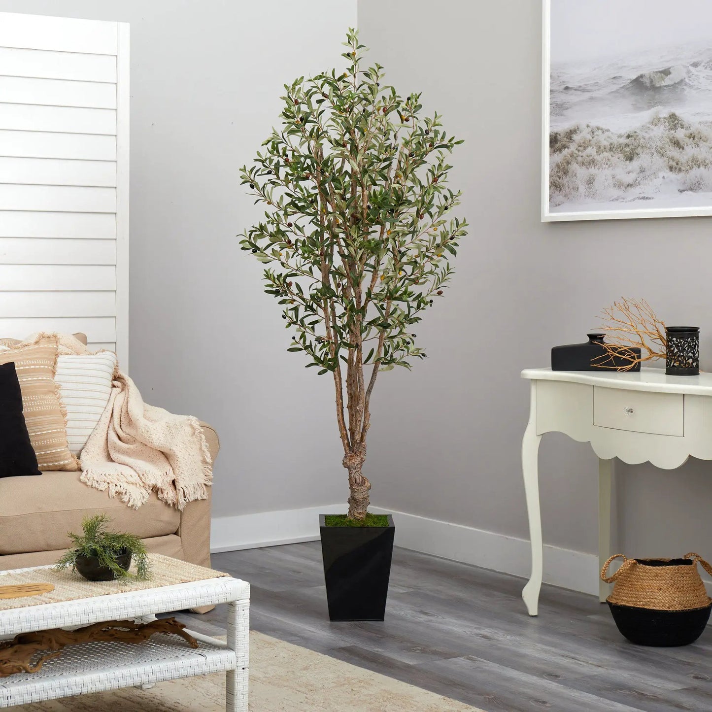- image on Tampa Home & Garden Store