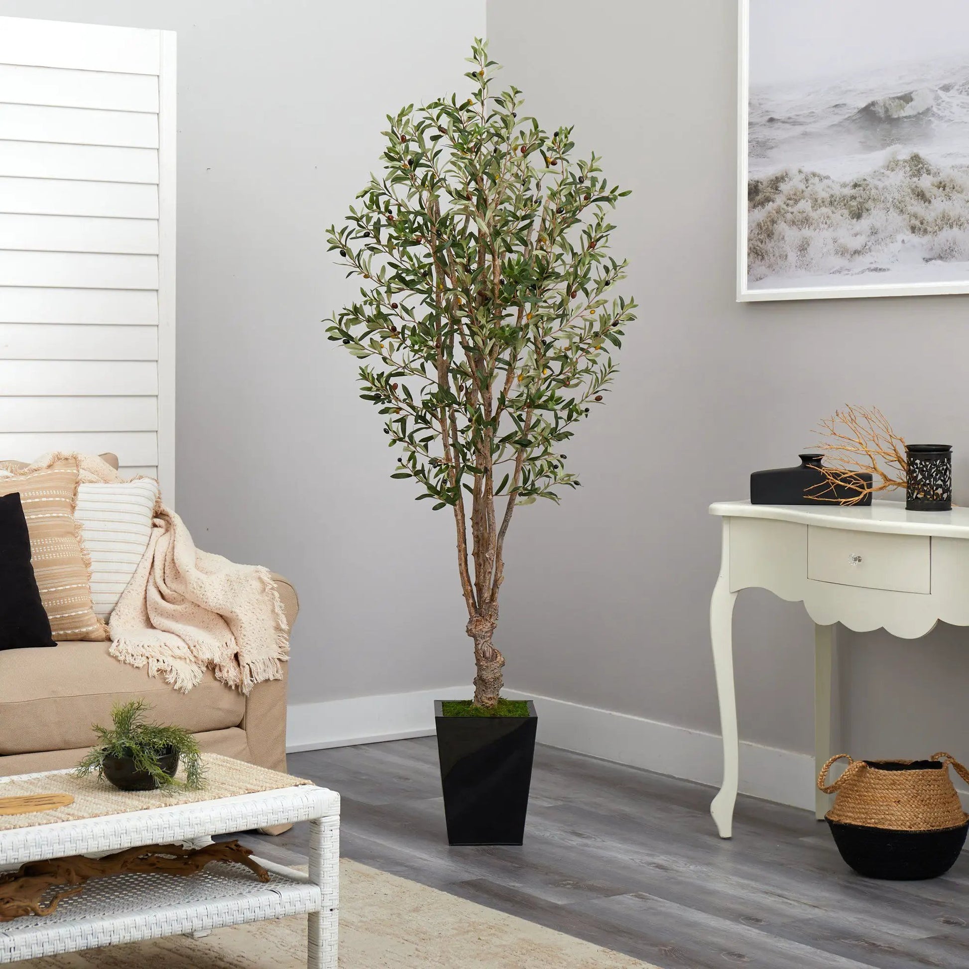 - image on Tampa Home & Garden Store