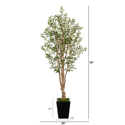 - image on Tampa Home & Garden Store