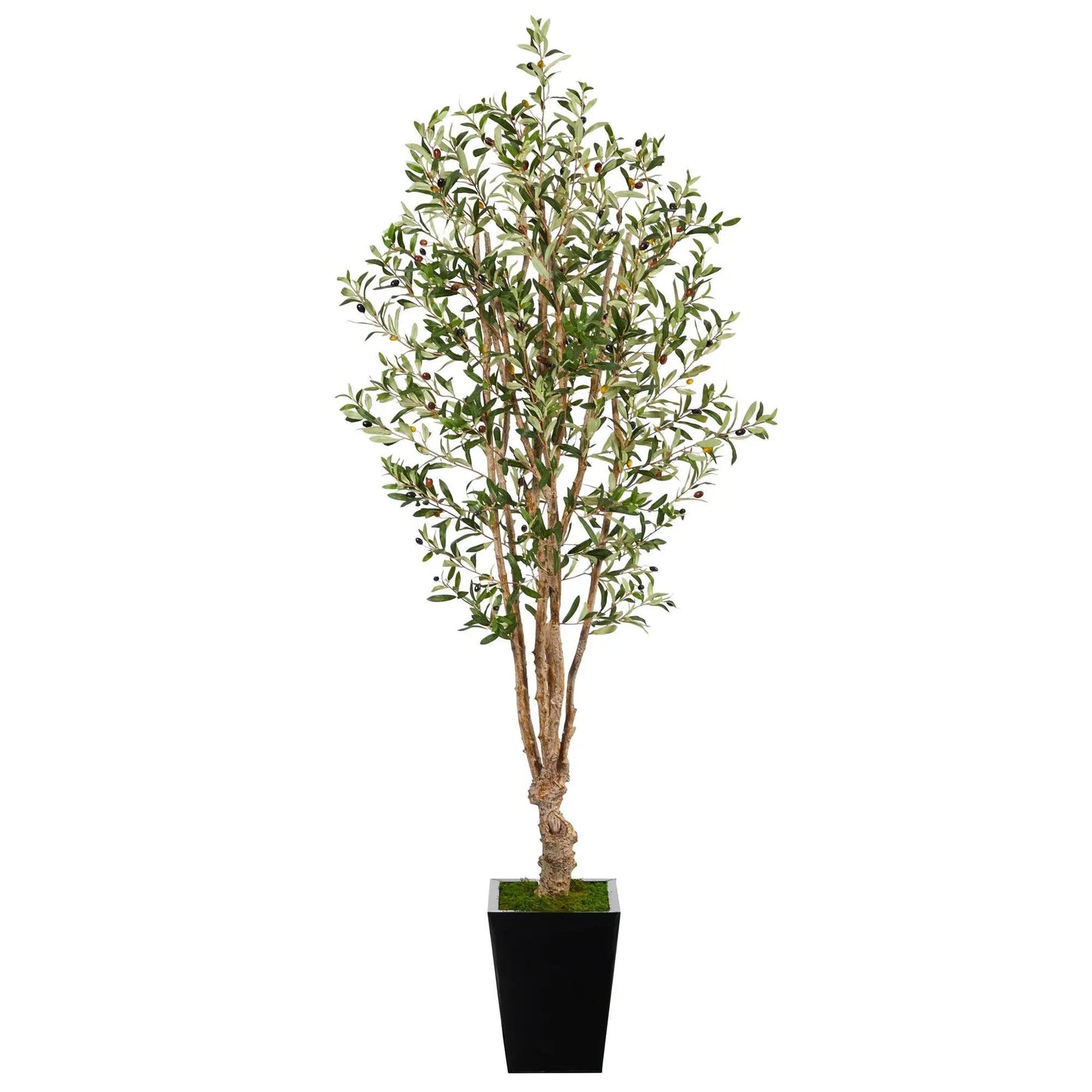 - image on Tampa Home & Garden Store