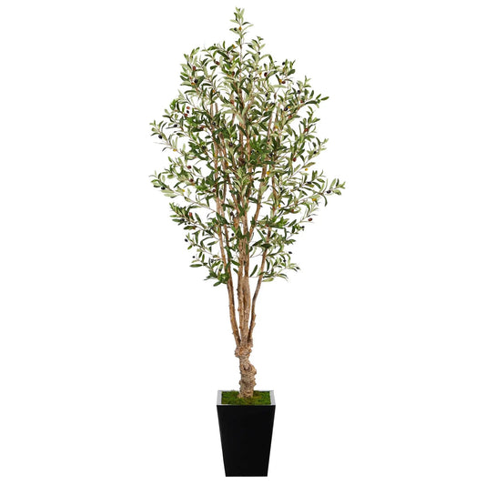 - image on Tampa Home & Garden Store