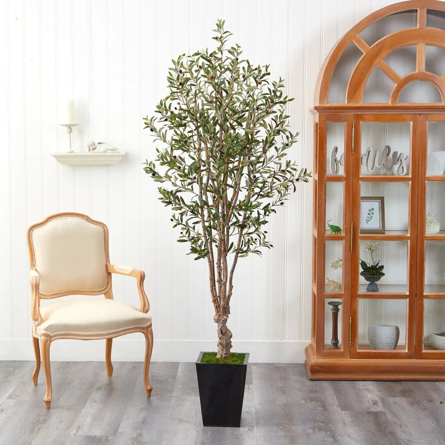 - image on Tampa Home & Garden Store