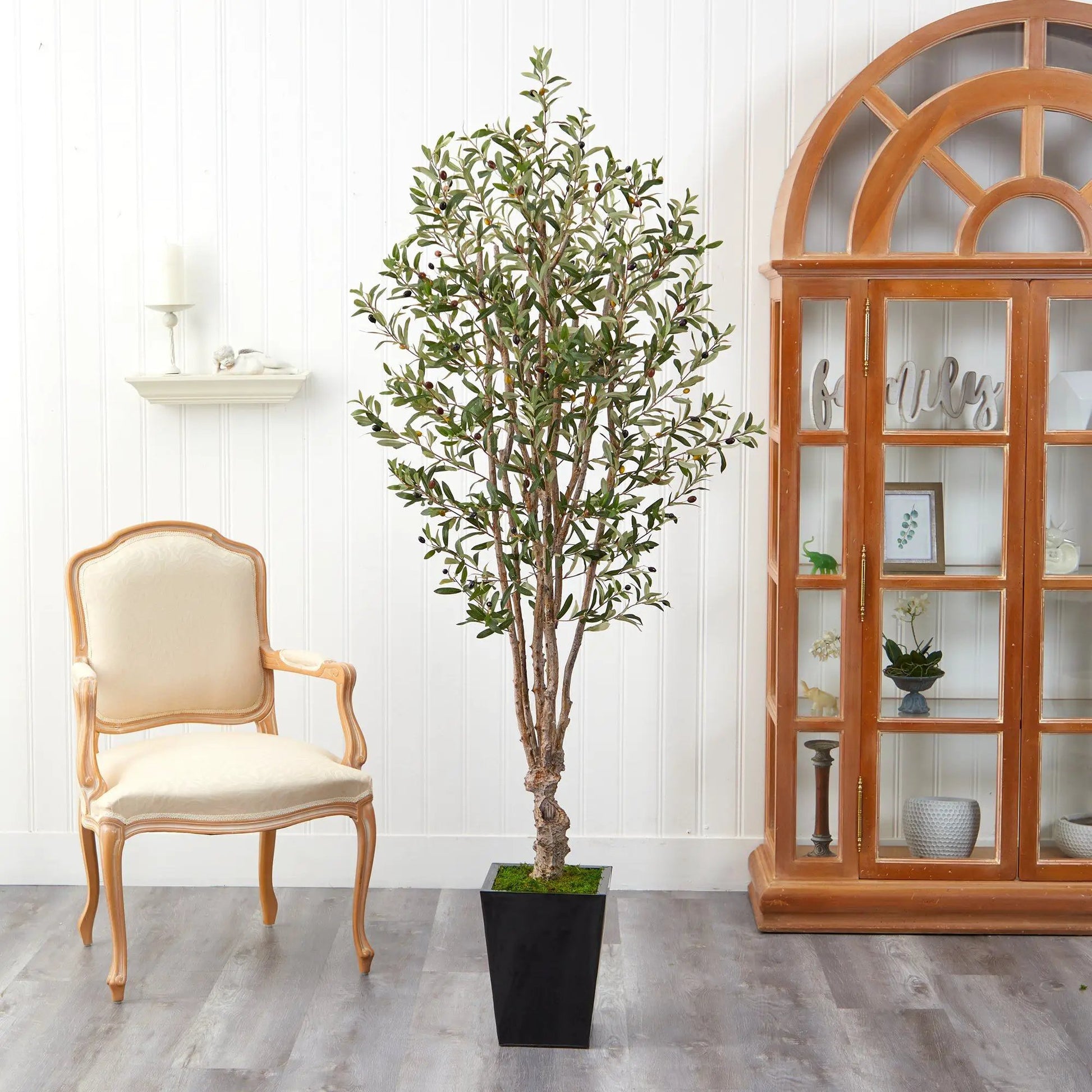 - image on Tampa Home & Garden Store