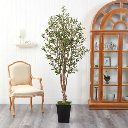 - image on Tampa Home & Garden Store