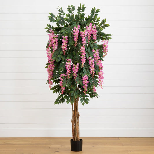 6.5’ Wisteria Silk Tree - Tampa Home & Garden Store