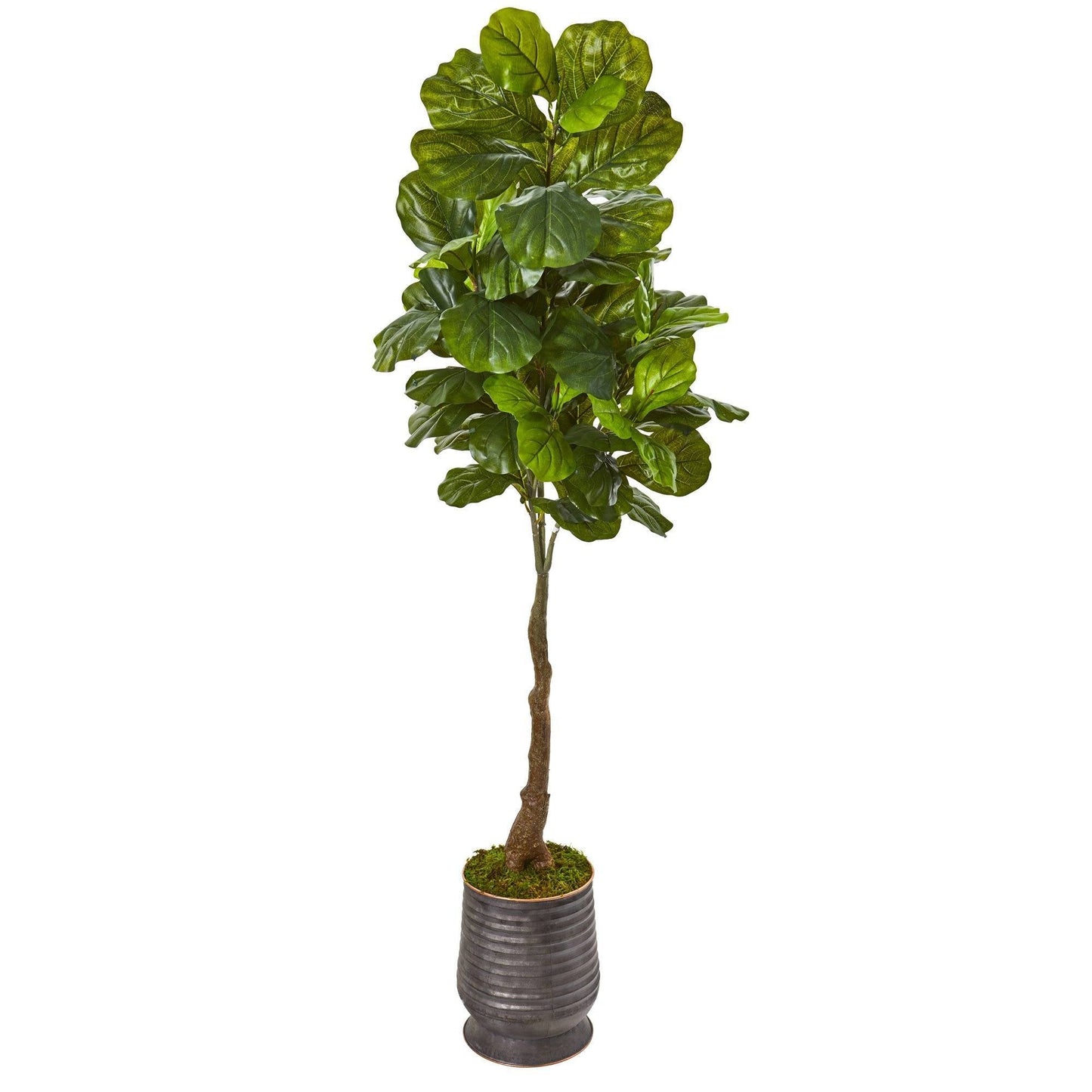 69in fiddle leaf artificial tree with Real Touch leaves in metal planter, Nearly Natural on Tampa Home & Garden Store