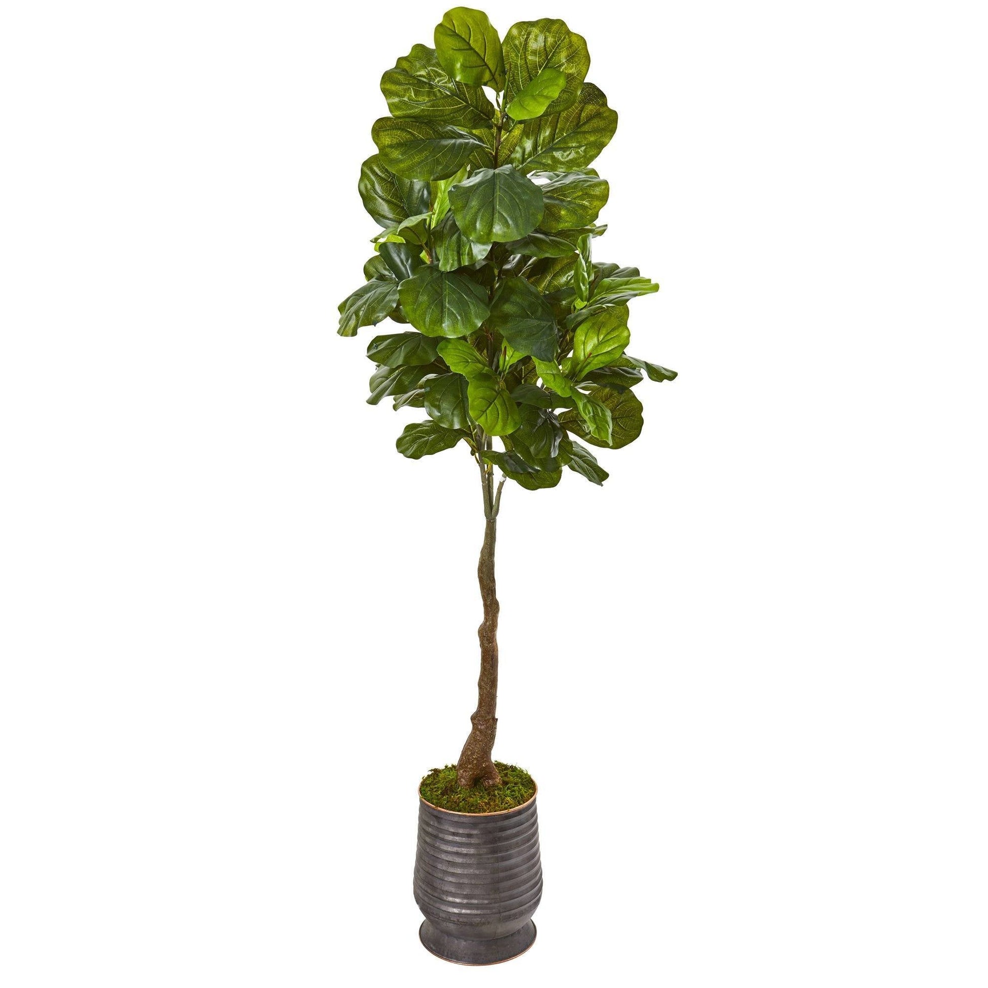 69in fiddle leaf artificial tree with Real Touch leaves in metal planter, Nearly Natural on Tampa Home & Garden Store