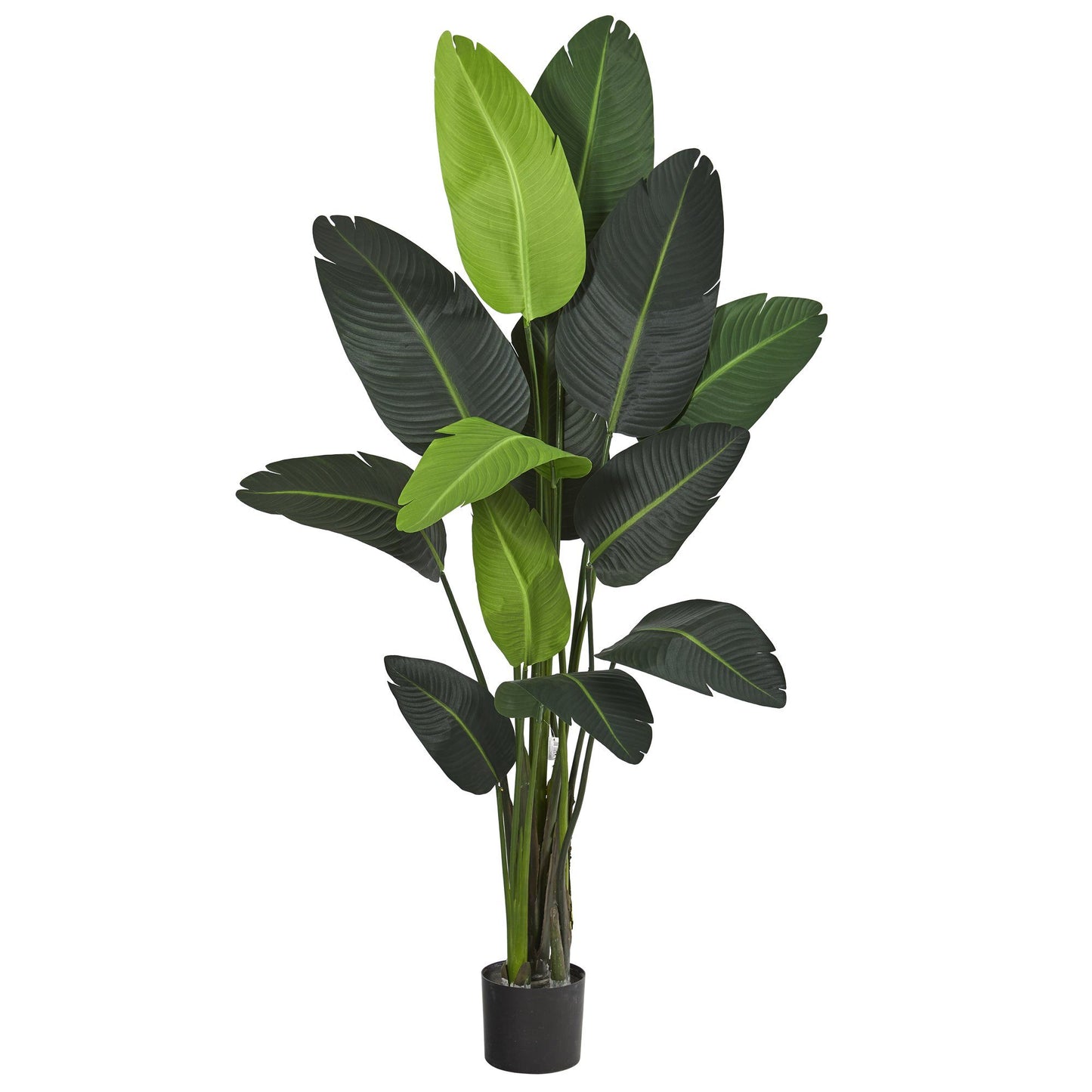 Indoor Realistic 69 Inch Travelers Palm Tree