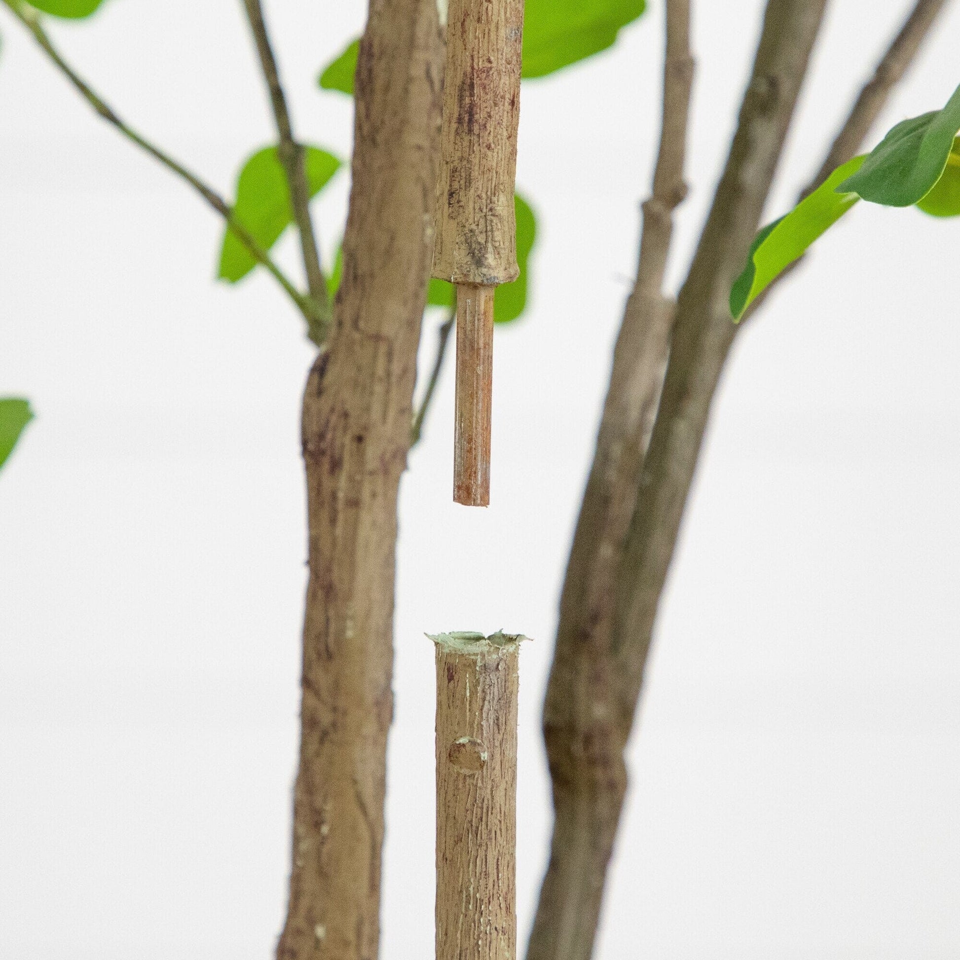 6' Artificial Dogwood Tree with Real Touch Leaves close-up of brown trunk and green leaves on Tampa Home & Garden Store