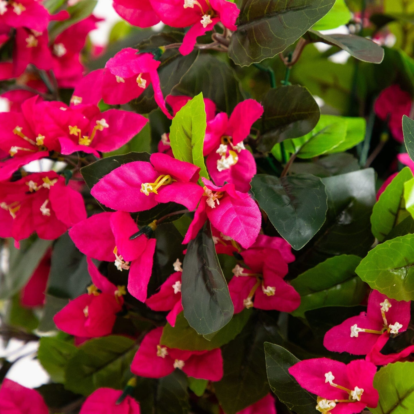 6' UV Resistant Artificial Spiral Bougainvillea Tree pink blooms dark green leaves indoor outdoor on Tampa Home & Garden Store
