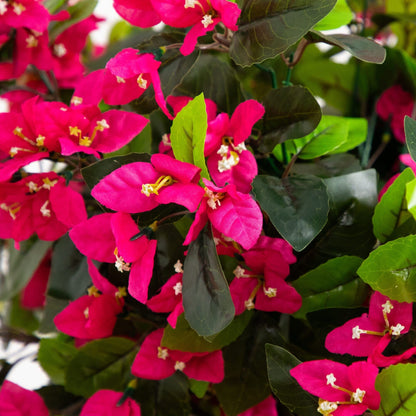 6' UV Resistant Artificial Spiral Bougainvillea Tree pink blooms dark green leaves indoor outdoor on Tampa Home & Garden Store