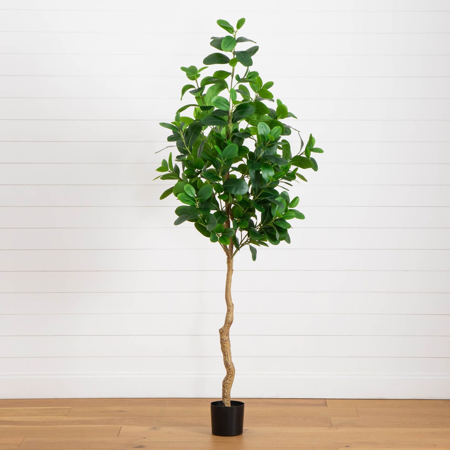 a Seven Foot Audrey Artificial Ficus For Home