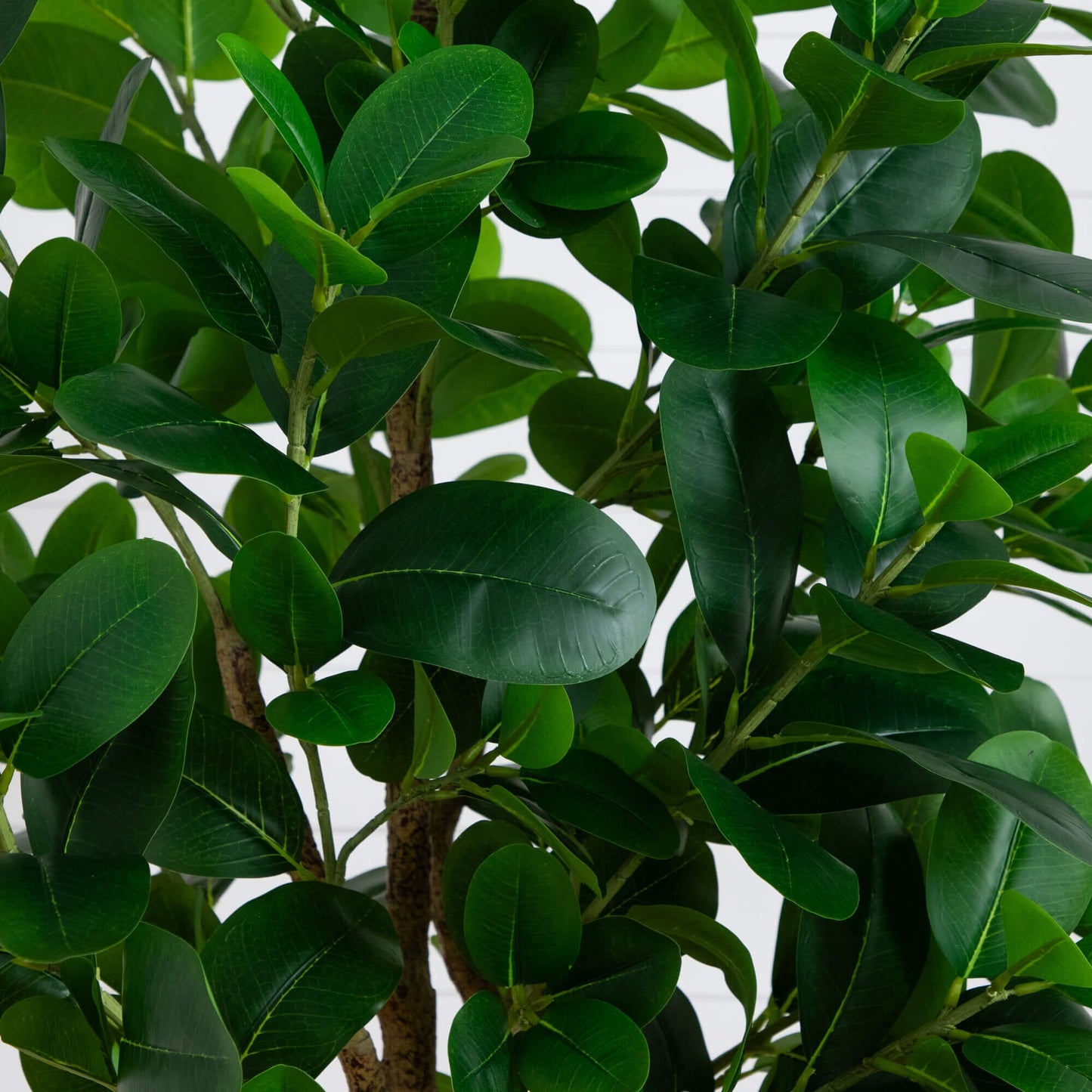 a Seven Foot Audrey Artificial Ficus For Home