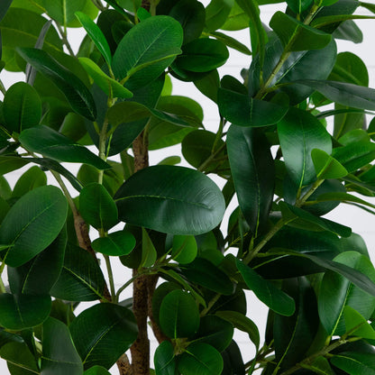 a Seven Foot Audrey Artificial Ficus For Home