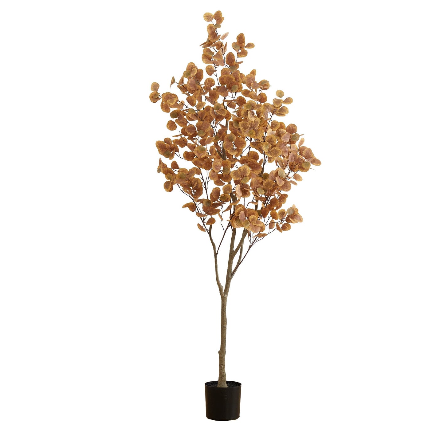Tree Nearly Natural 7 ft artificial autumn eucalyptus with golden leaves in a black pot on Tampa Home & Garden Store