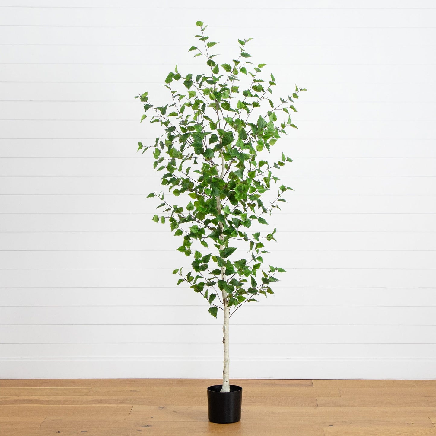 7 Foot Artificial Birch and Indoor Decor Tree