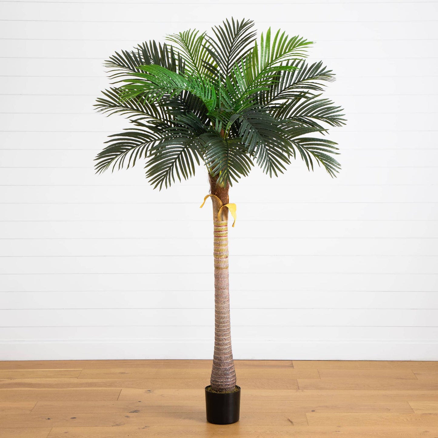 7-foot Nearly Natural artificial coconut palm tree with dense green fronds in a black pot on Tampa Home & Garden Store