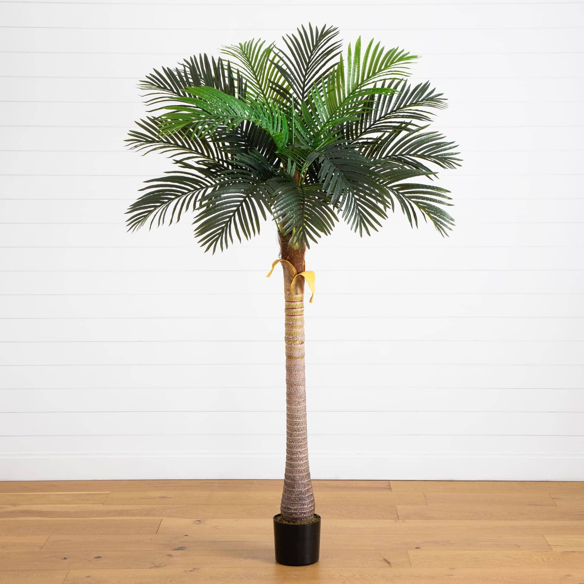 7-foot Nearly Natural artificial coconut palm tree with dense green fronds in a black pot on Tampa Home & Garden Store