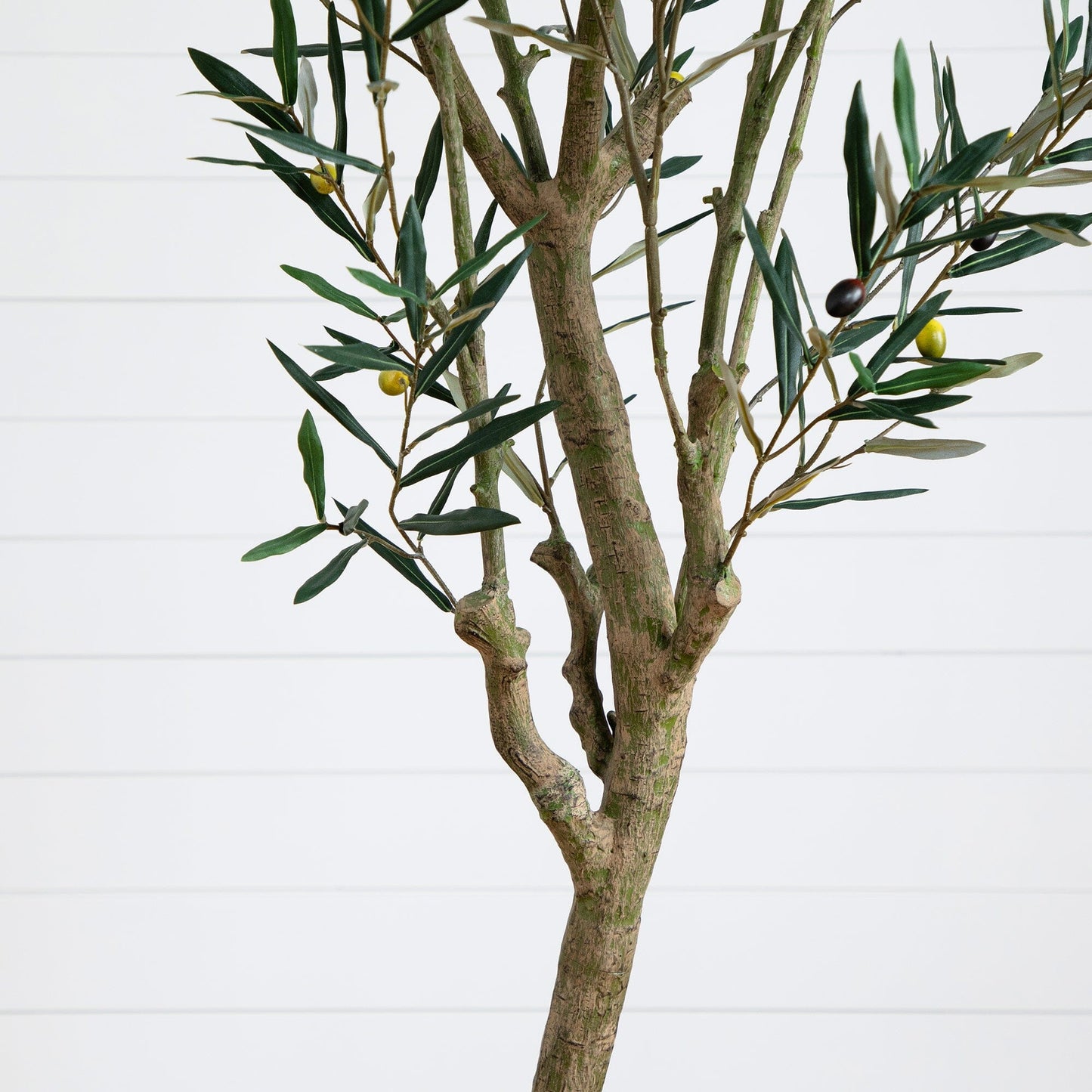 Artificial Greco Olive Tree And A Solid Base
