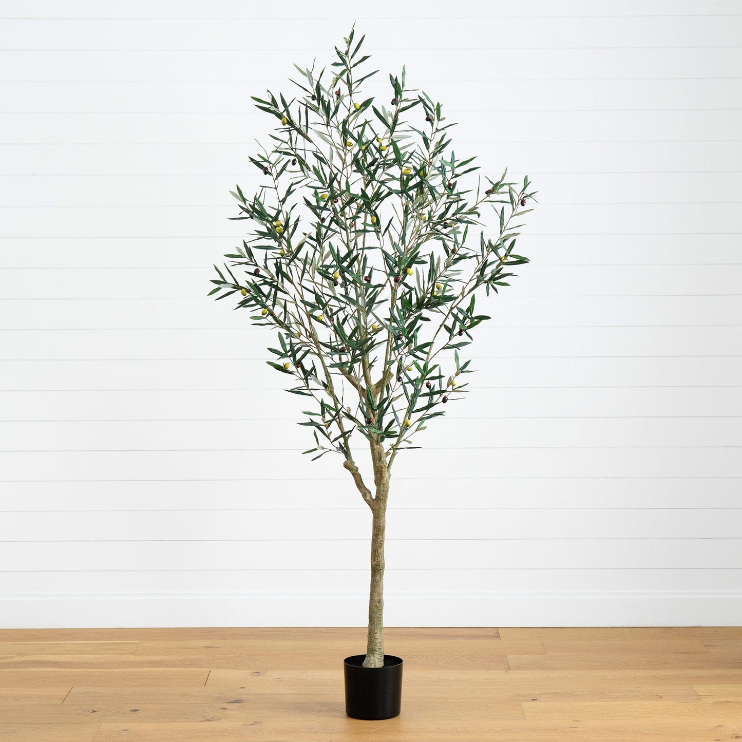 Artificial Greco Olive Tree And A Solid Base