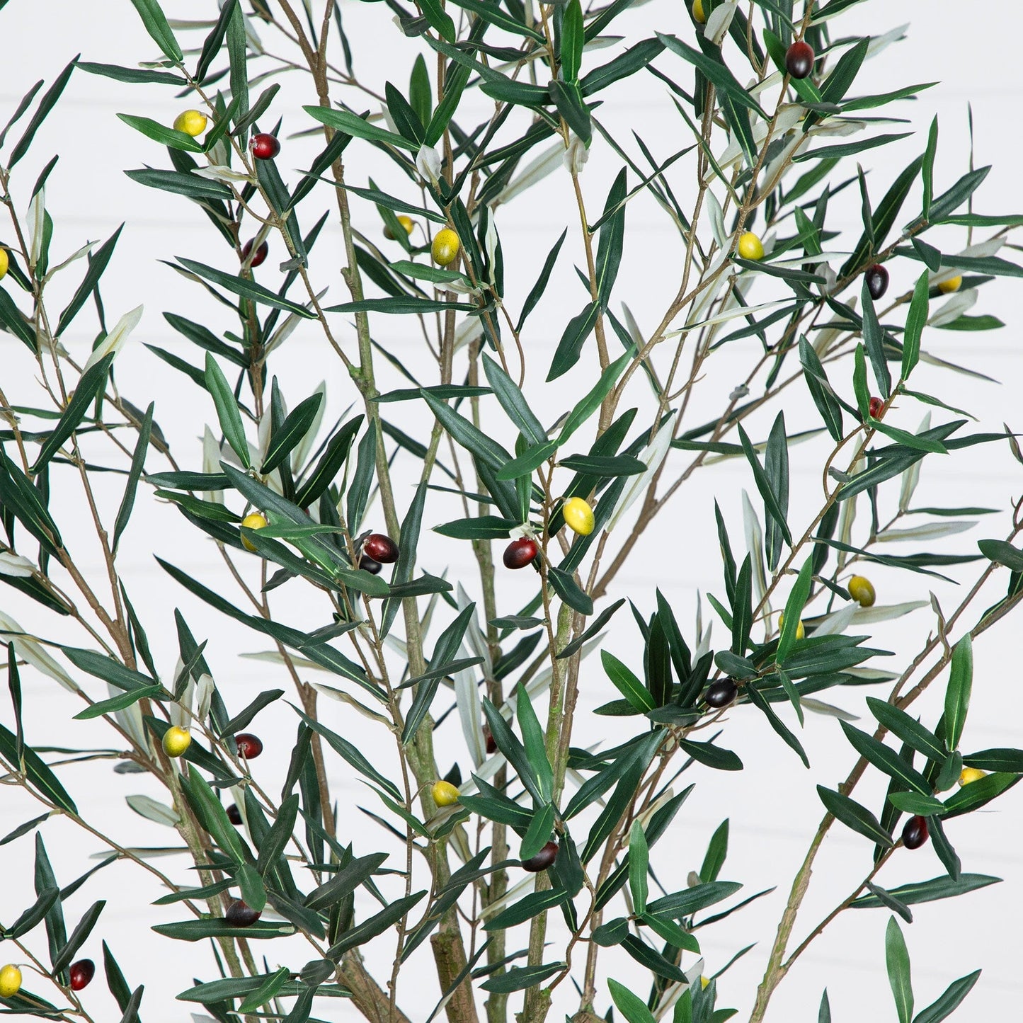 Artificial Greco Olive Tree And A Solid Base
