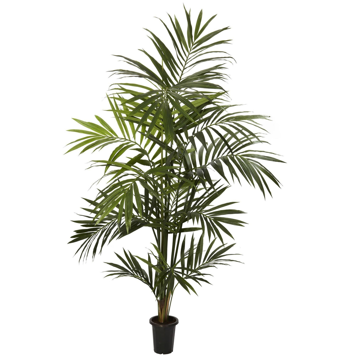 7' Artificial Kentia Palm Silk Tree by Nearly Natural in black planter with lush green fronds on Tampa Home & Garden Store