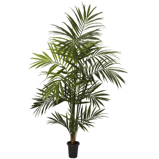 7' Artificial Kentia Palm Silk Tree by Nearly Natural in black planter with lush green fronds on Tampa Home & Garden Store