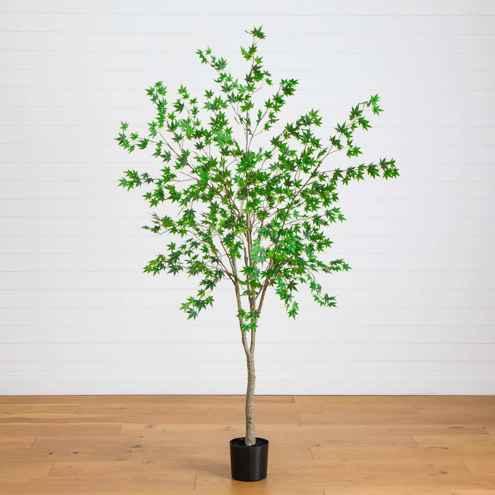 7-ft artificial maple tree in a black pot with lush green maple leaves, Nearly Natural on Tampa Home & Garden Store