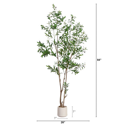 A Minimalist Olive Tree in White Decorative Planter
