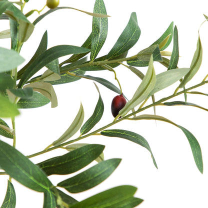 A Minimalist Olive Tree in White Decorative Planter