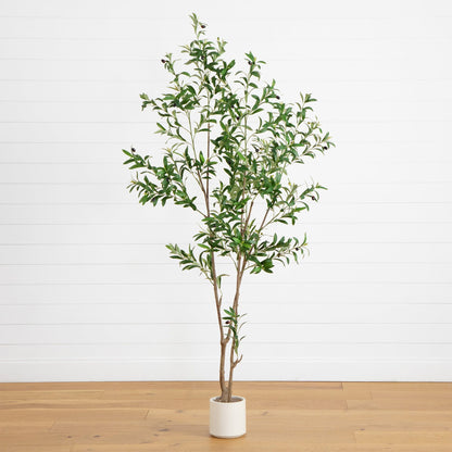 A Minimalist Olive Tree in White Decorative Planter