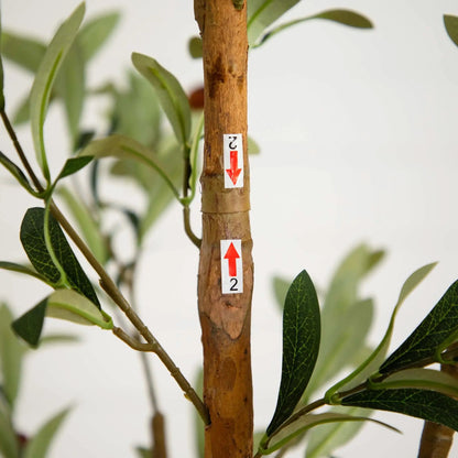Artificial olive tree with natural trunk, textured brown bark and dark green olive leaves on Tampa Home & Garden Store