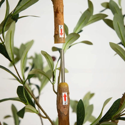 Artificial Olive Tree with Natural Trunk by Nearly Natural, lifelike green olive leaves on Tampa Home & Garden Store