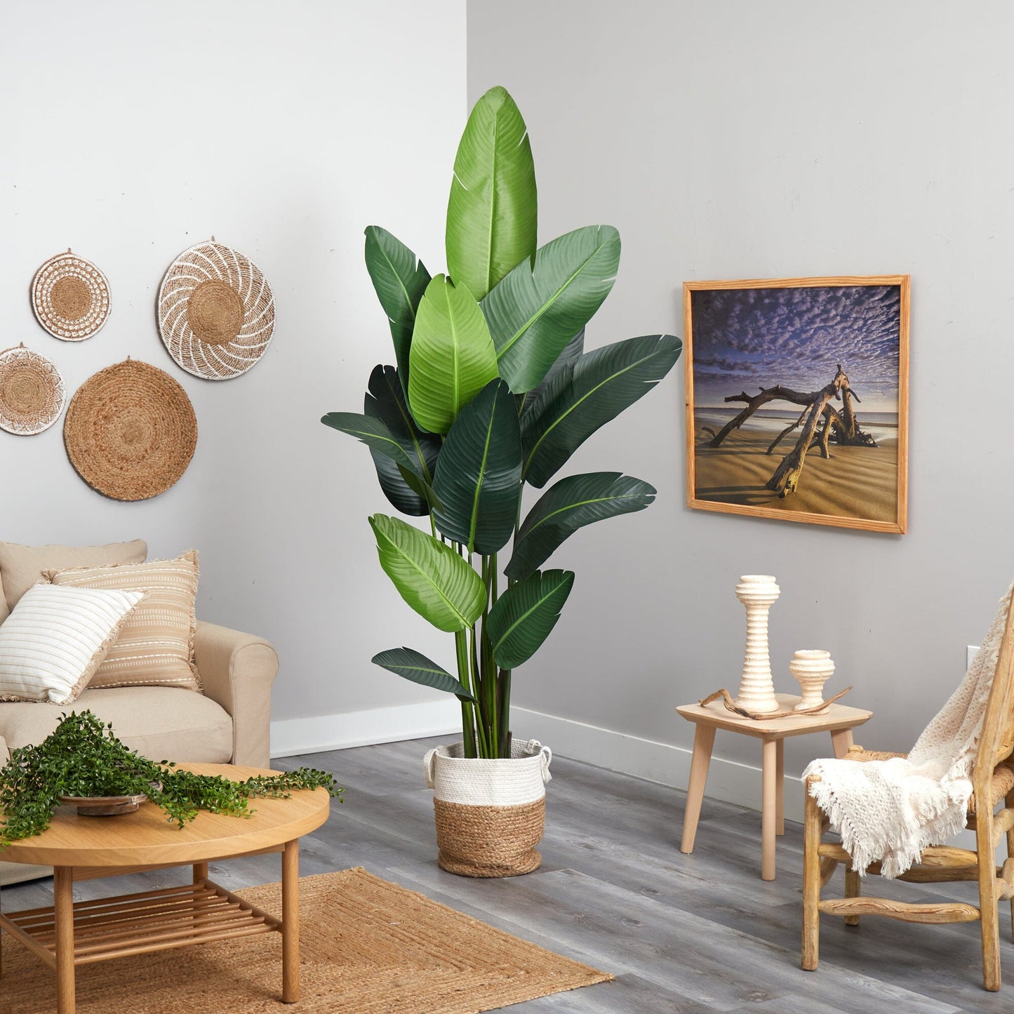 7ft artificial Traveler's Palm tree in a jute-cotton basket with green leaves, Nearly Natural on Tampa Home & Garden Store