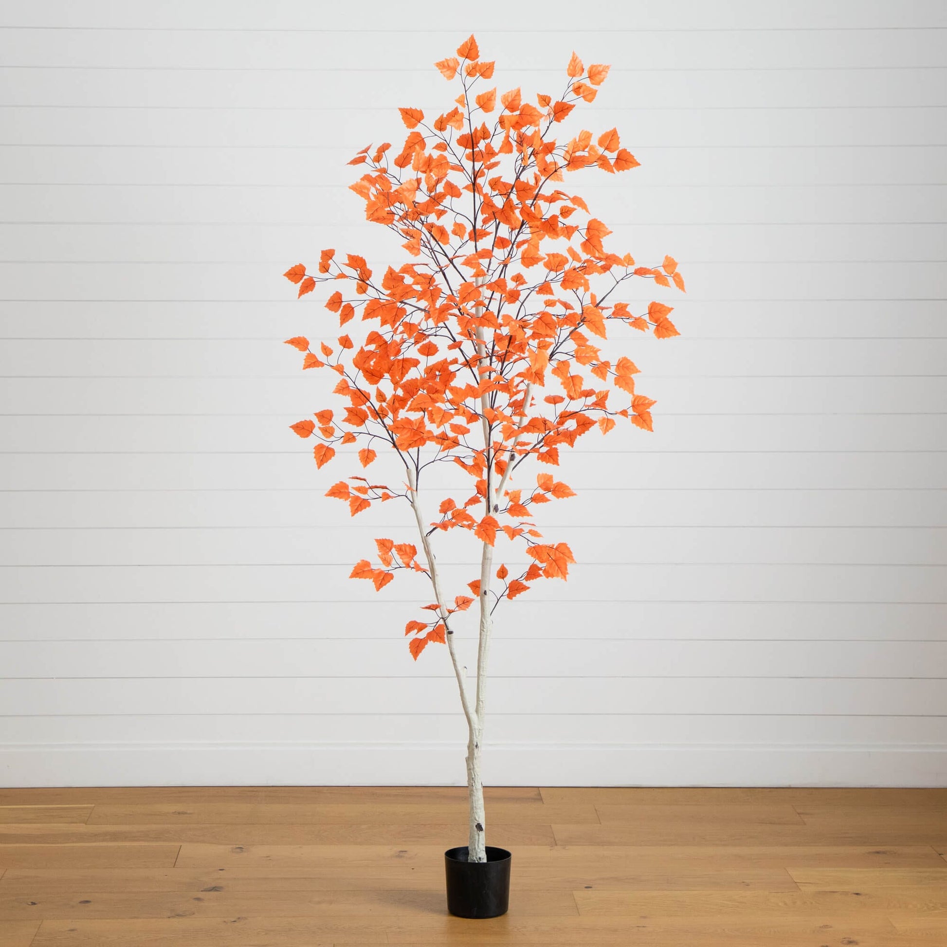 7' Autumn Paper Birch Artificial Fall Tree by Nearly Natural with orange leaves in a black pot on Tampa Home & Garden Store