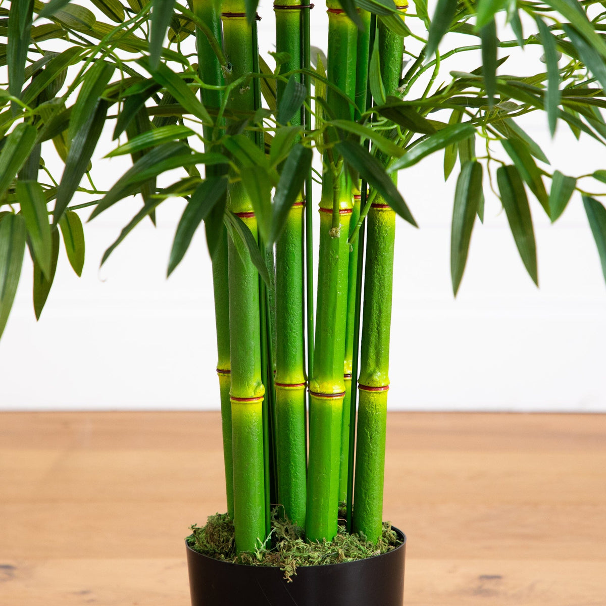 7' Bamboo Tree UV Resistant indoor/outdoor Nearly Natural with several green bamboo stalks in a black pot with moss on Tampa Home & Garden Store